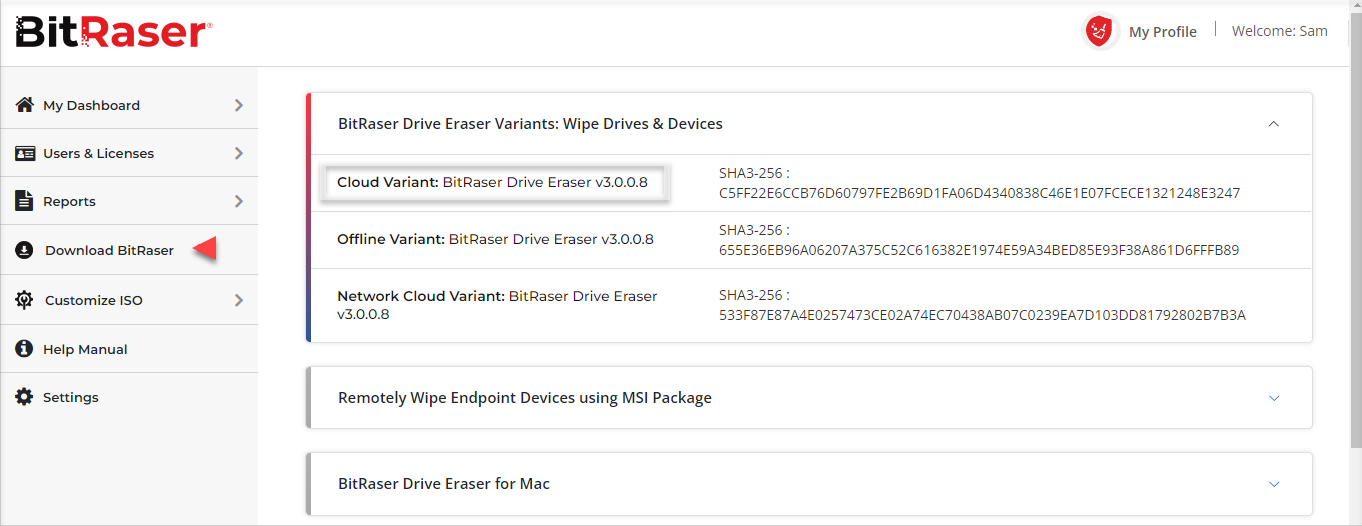 Laden Sie BitRaser Drive Eraser ISO von BitRaser Cloud herunter